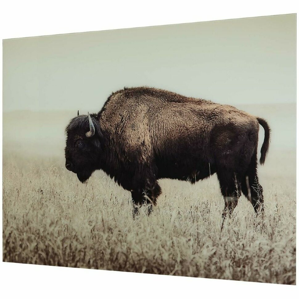 КАРТИНА Б/РАМЫ WALL DECOR A8000289 BRUTUS 122*91 КАРТИНА Б/РАМЫ WALL DECOR A8000289 BRUTUS 122*91
