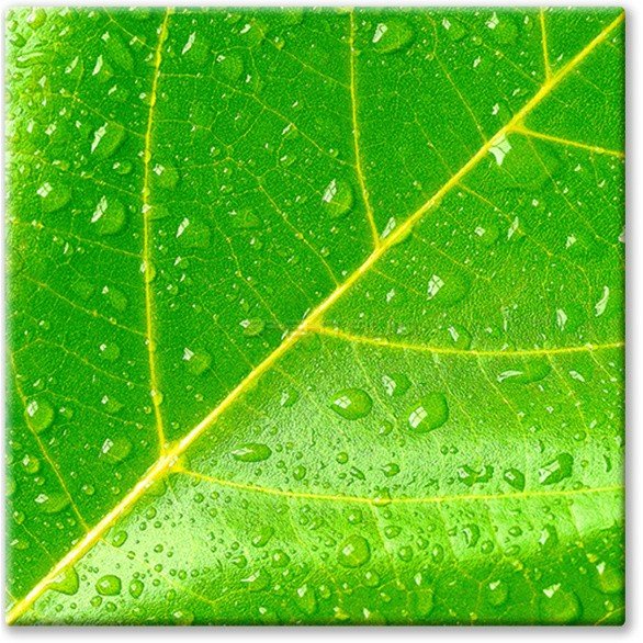 Прямоугольная столешница Werzalit (70х120 см) TF 06 лист печать Прямоугольная столешница Werzalit (70х120 см) TF 06 лист печать